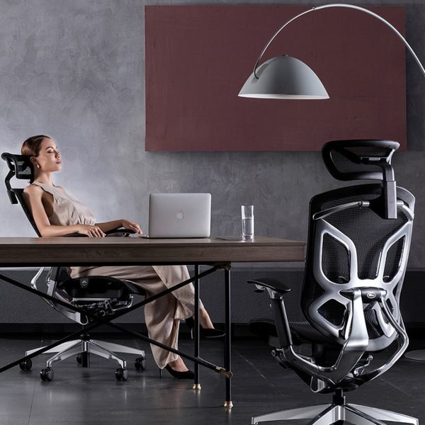 Khả năng điều chỉnh linh hoạt 