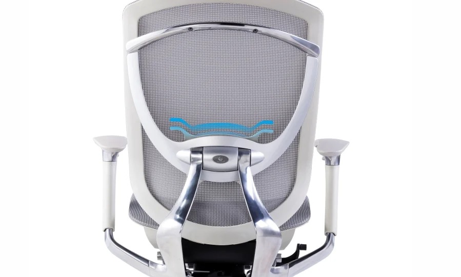 Hỗ trợ thắt lưng thông minh