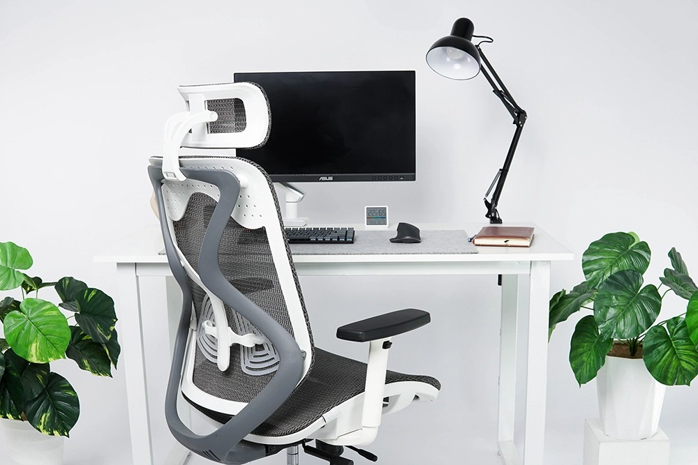 Xiaomi Manson Butterfly Wing 14