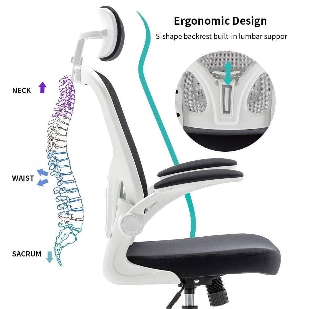 Tính năng Ergonomics