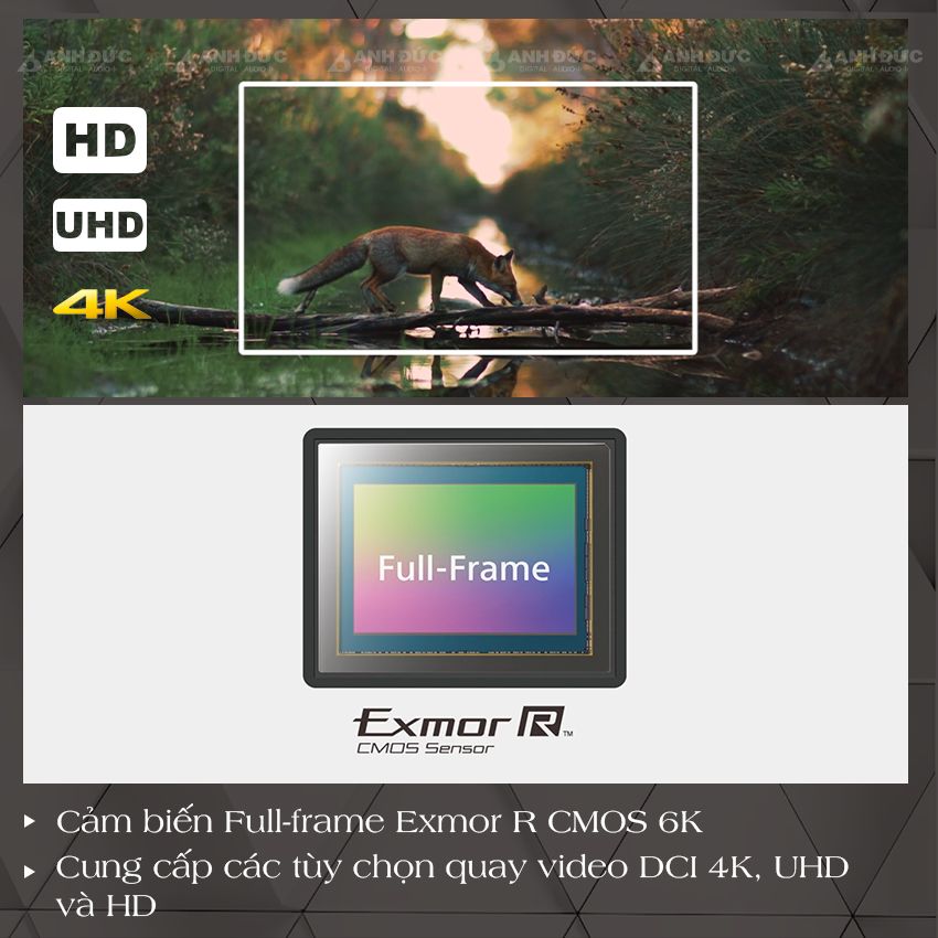 PXW-FX9V - Cảm biến