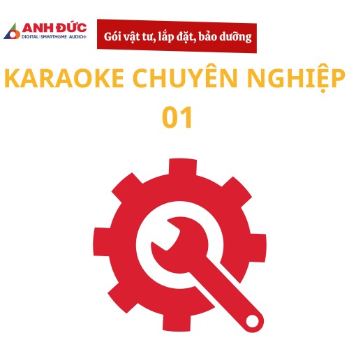 Gói vật tư, lắp đặt và bảo dưỡng dàn karaoke chuyên nghiệp 01
