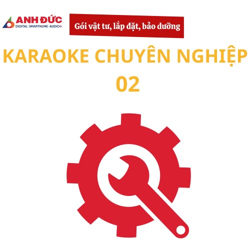 Gói vật tư, lắp đặt và bảo dưỡng dàn karaoke chuyên nghiệp 02