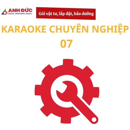 Gói vật tư, lắp đặt và bảo dưỡng dàn karaoke chuyên nghiệp 07