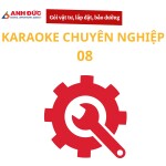 Gói vật tư, lắp đặt và bảo dưỡng dàn karaoke chuyên nghiệp 08