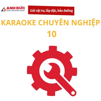 Gói vật tư, lắp đặt và bảo dưỡng dàn karaoke chuyên nghiệp 10