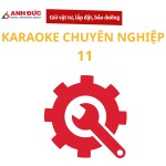 Gói vật tư, lắp đặt và bảo dưỡng dàn karaoke chuyên nghiệp 11