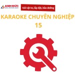 Gói vật tư, lắp đặt và bảo dưỡng dàn karaoke chuyên nghiệp 15