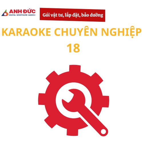 Gói vật tư, lắp đặt và bảo dưỡng dàn karaoke chuyên nghiệp 18
