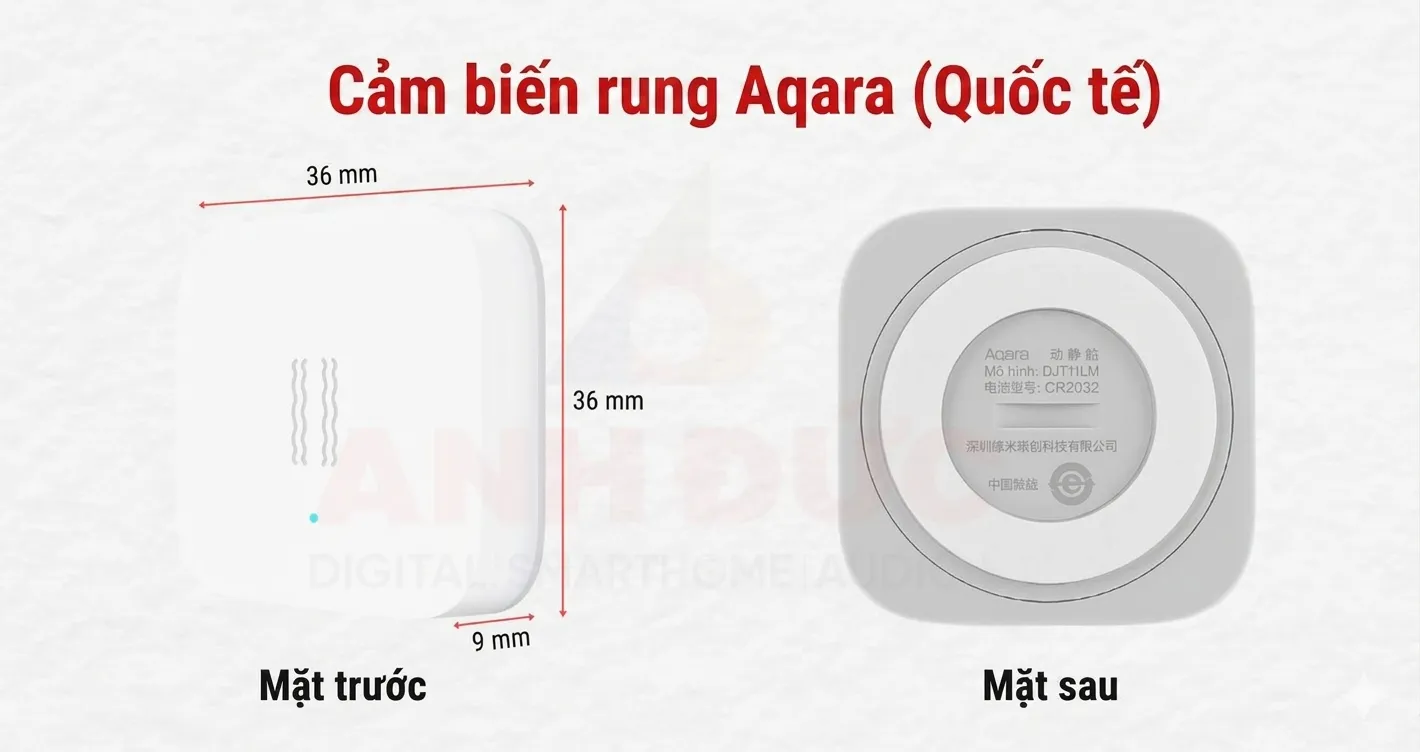cam-bien-rung-t1