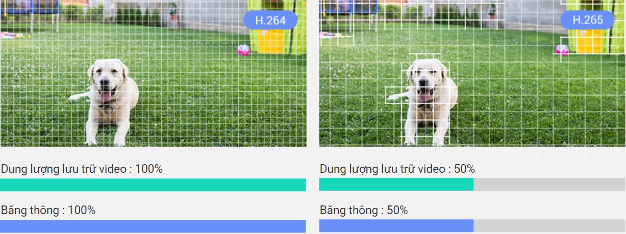 Tiết kiệm dung lượng lưu trữ và giảm tải mạng