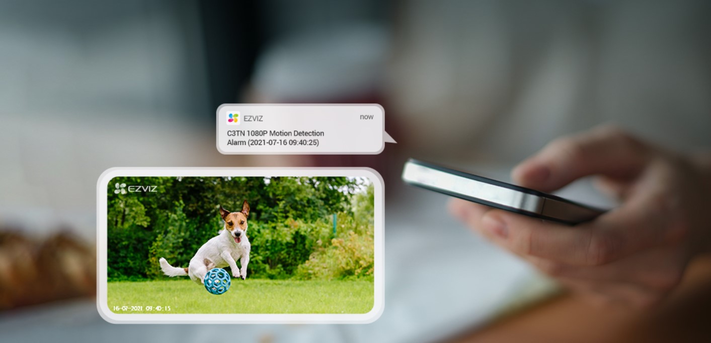 Cảnh báo phát hiện chuyển động