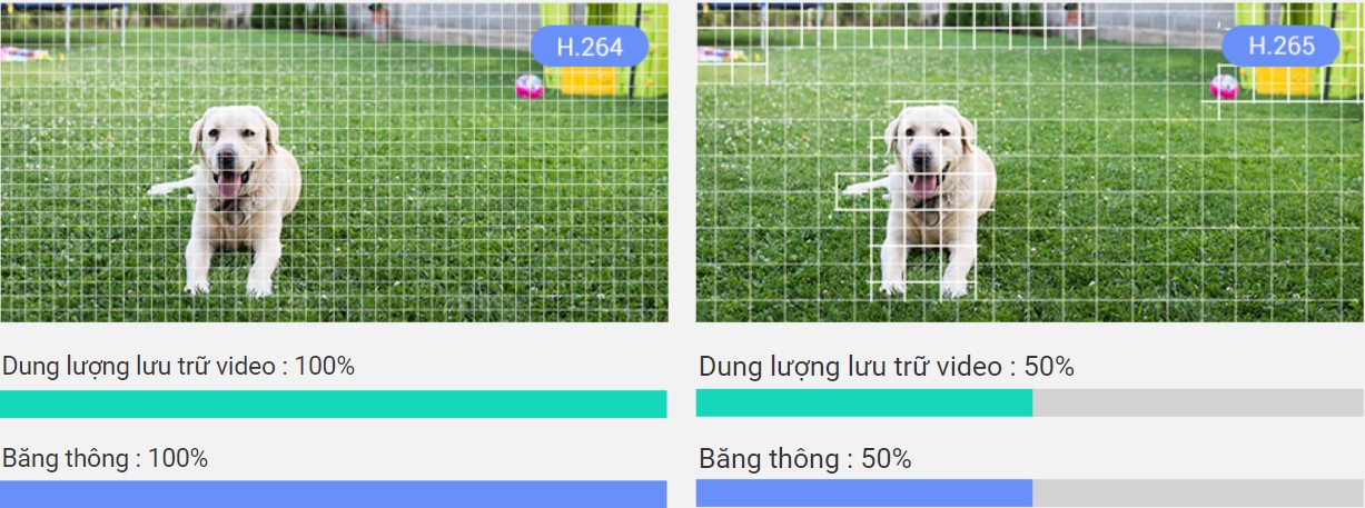 Tiết kiệm không gian lưu trữ