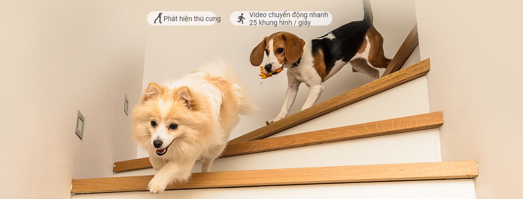 Tính năng phát hiện thú cưng