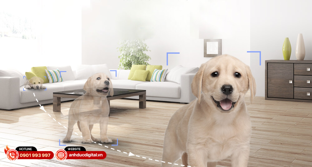 Camera Wifi Ezviz C6N 3MP 4