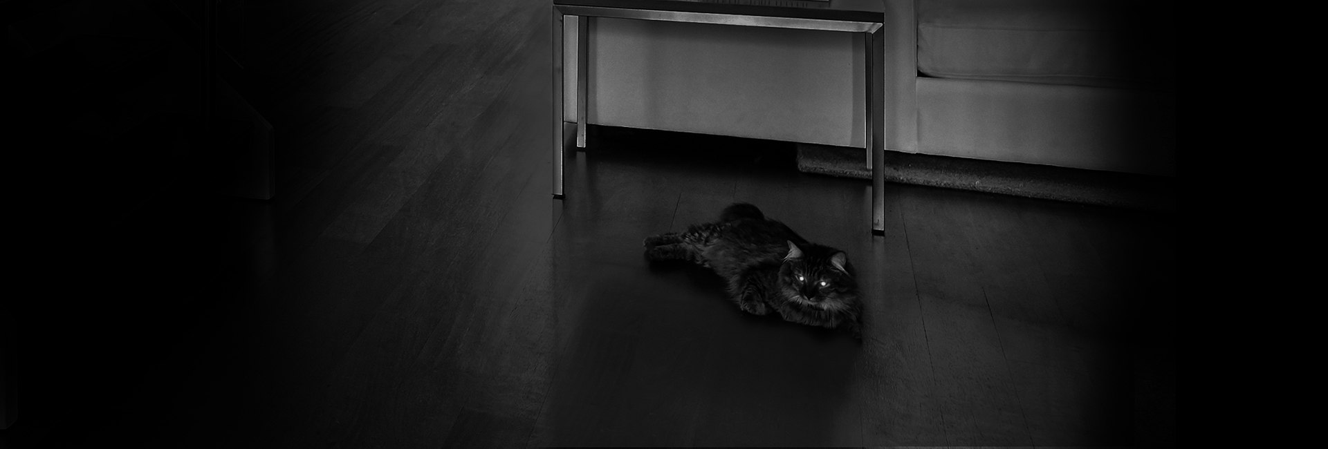 Quan sát rõ vào ban đêm