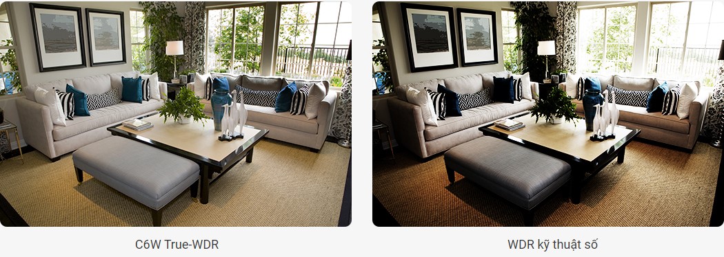 Công nghệ Chống ngược sáng thực True-WDR