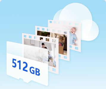 Tùy chọn lưu trữ video kép