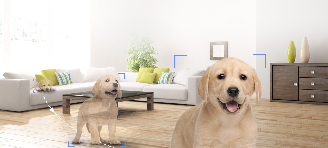 Theo dõi thông minh