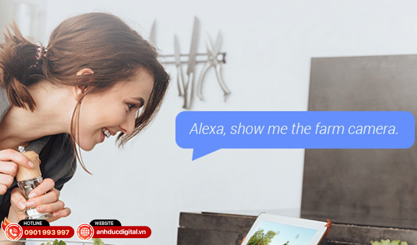 Camera 4G Ezviz EB8 2K 12