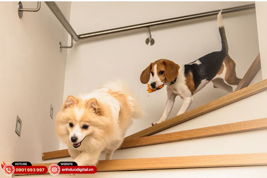 camera-wifi-ezviz-h6-3k (6)