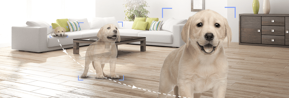 Khả năng theo dõi thông minh