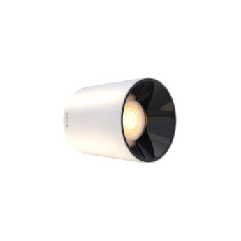 Đèn Lumi Spotlight trụ 10w ốp nổi 36 độ LM-CMS10W/C-1A36