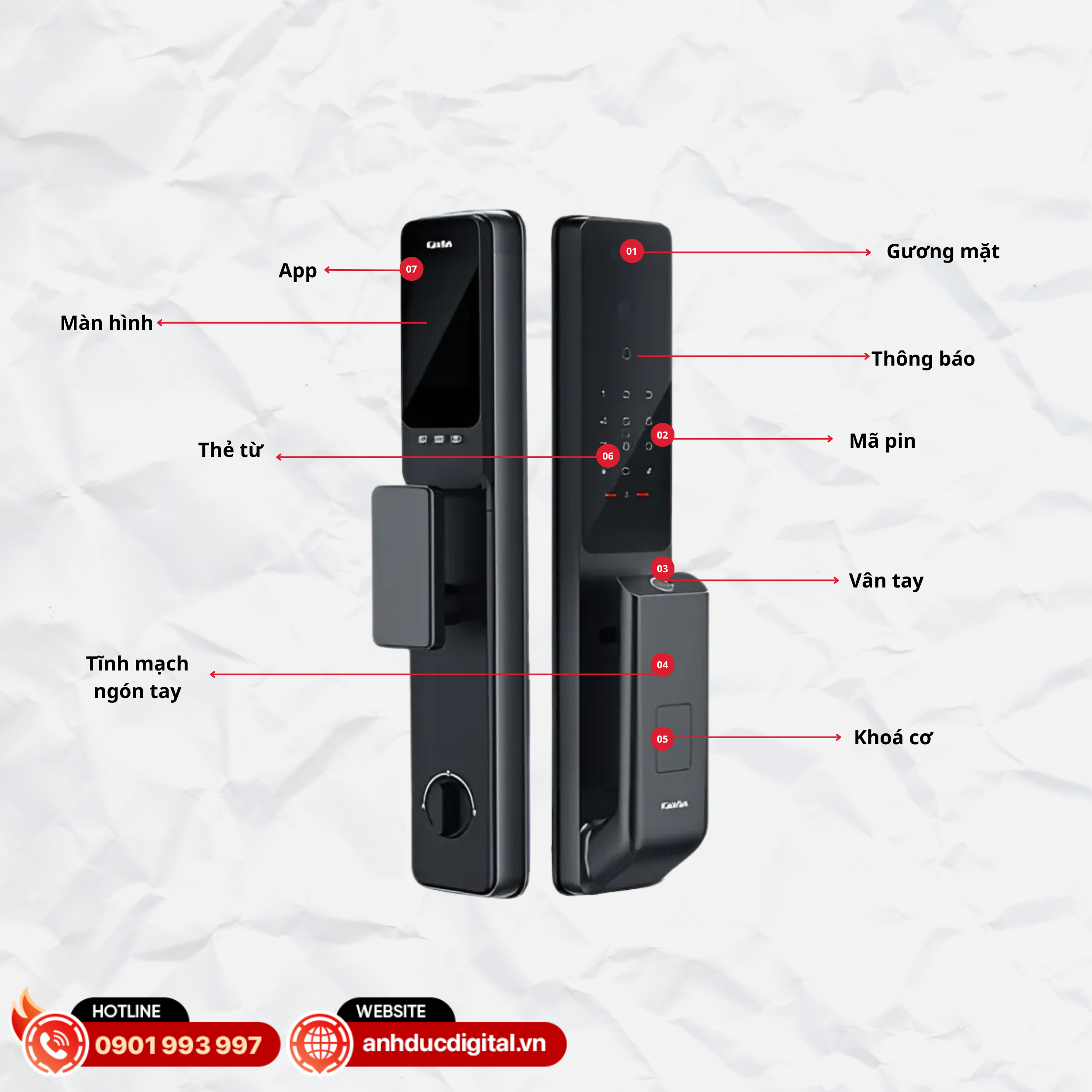 Ảnh tổng quan (8)