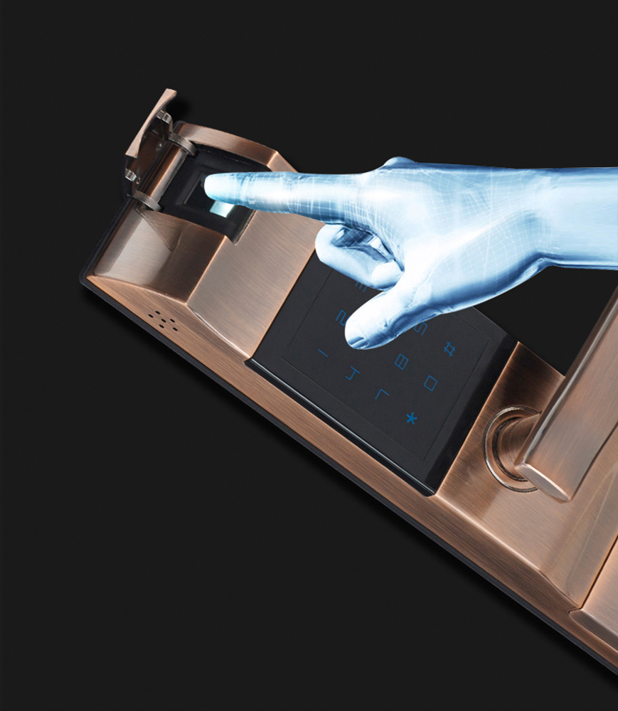 3361 đ&ocirc;̀ng (5)