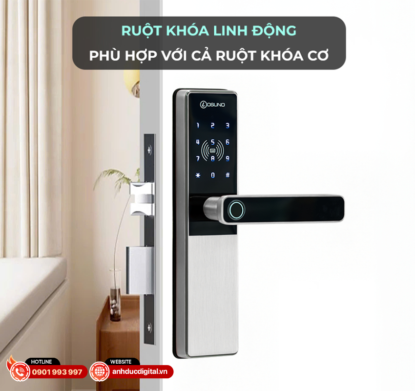 Kh&oacute;a Osuno OSN-3601 5