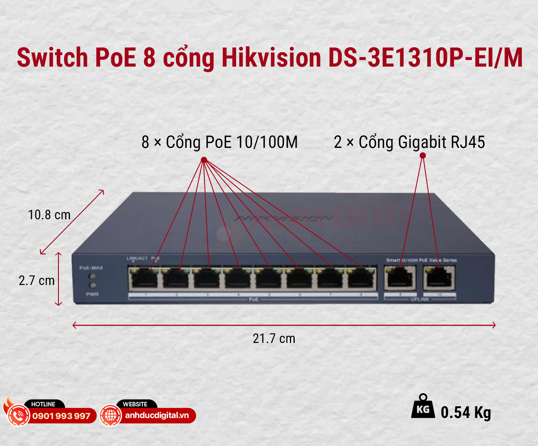 DS-3E1310P tổng quan-1