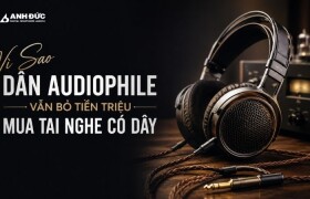 Vì Sao Dân Audiophile Vẫn Bỏ Tiền Triệu Mua Tai Nghe Có Dây Giữa Kỷ Nguyên Wireless?