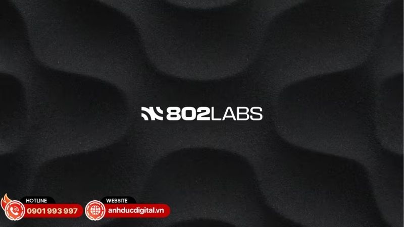 bose-professional-doi-ten-thanh-802-labs5