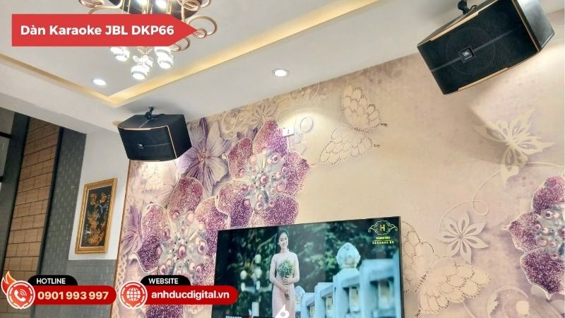 phong-khach-nho-phong-lon-biet-thu-nen-chon-dan-karaoke-nao-4