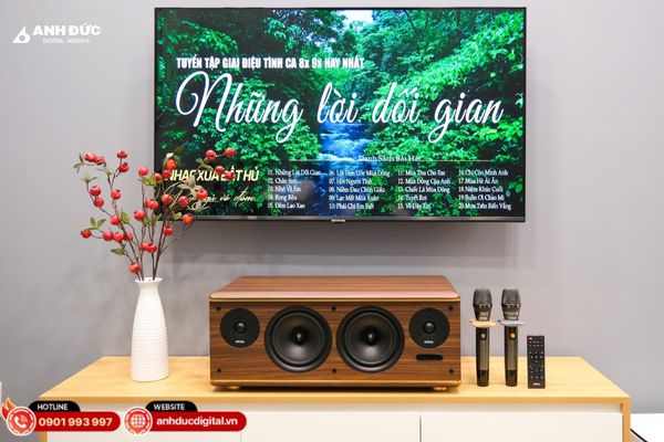 Chọn đúng loại loa giúp tiết kiệm chi phí mà vẫn đảm bảo chất lượng âm thanh