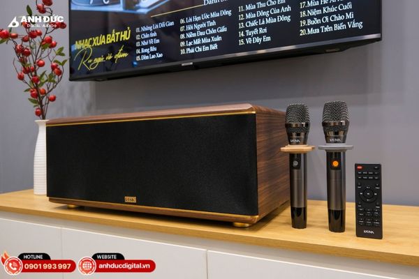 Trải nghiệm dàn karaoke gia đình giá rẻ - nhỏ gọn, dễ hát, âm thanh sống động