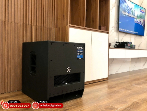 Loa karaoke là yếu tố quan trọng quyết định độ rõ giọng hát, độ mạnh và sự cân bằng của âm thanh tổng thể