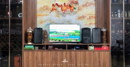 Kinh nghiệm chọn dàn loa karaoke gia đình tại Đà Nẵng theo nhu cầu