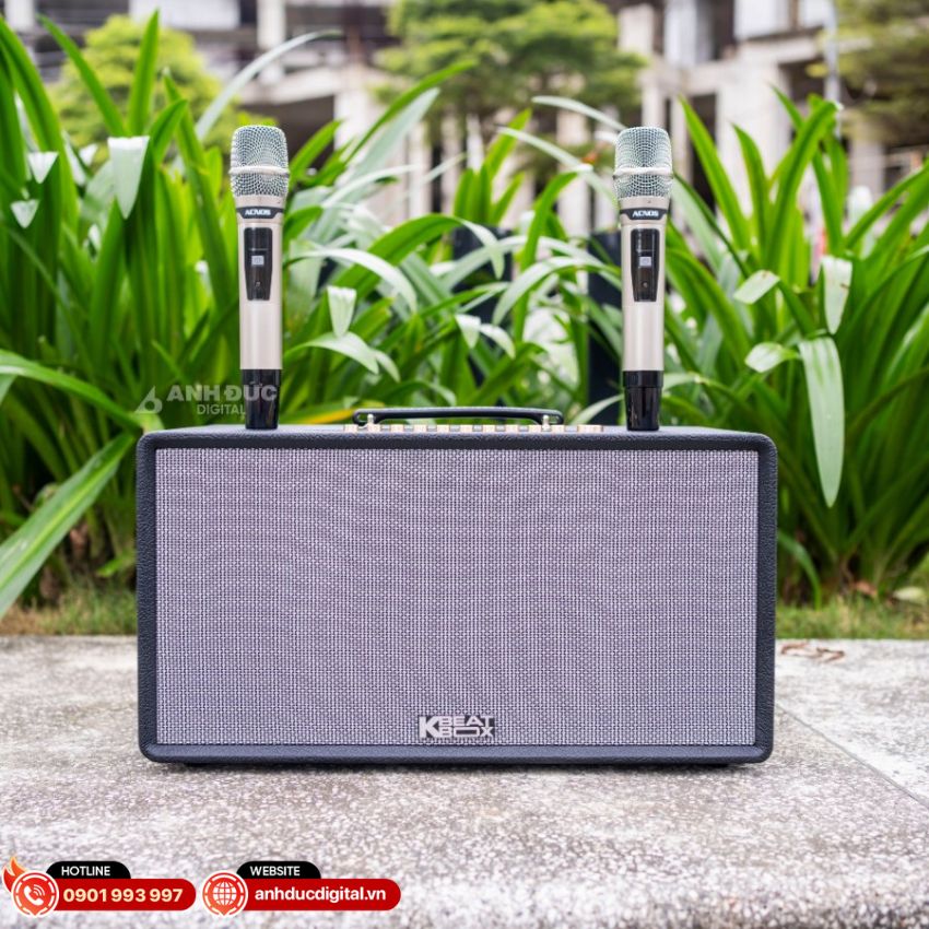 Loa karaoke Acnos FLAC36 2 giá rẻ, tích hợp CloudKaraoke, công suất 150W RMS