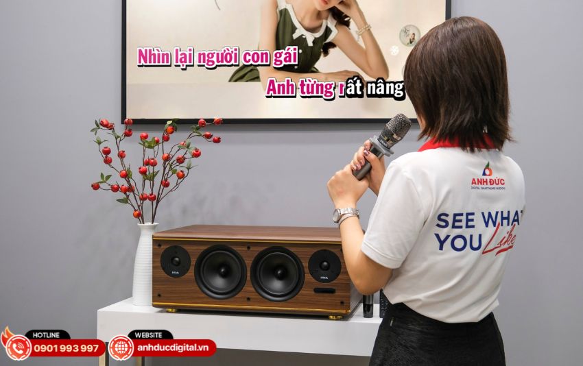 Chọn loa karaoke công suất RMS phù hợp diện tích phòng nhỏ và lớn