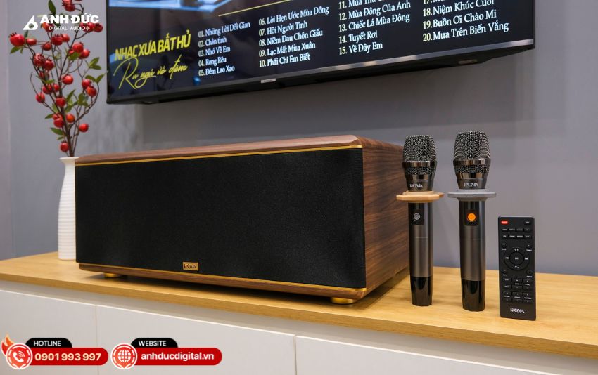 Tiêu chí chọn loa karaoke dưới 10 triệu chất lượng tốt, âm thanh hay, dễ kết nối