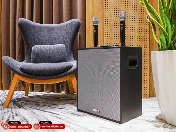 Mua loa kéo karaoke giá rẻ chính hãng tại Anh Đức Digital
