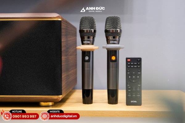 Chọn loa đi kèm micro, remote và EQ đầy đủ để sử dụng tiện lợi và hát karaoke mượt mà