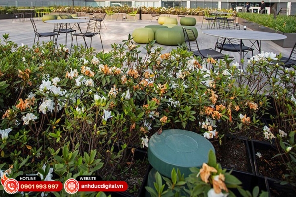 Bose FreeSpace 360P Series II là loa sân vườn ngoài trời với thiết kế phát âm thanh 360° giúp lan tỏa âm thanh đồng đều trong không gian cảnh quan