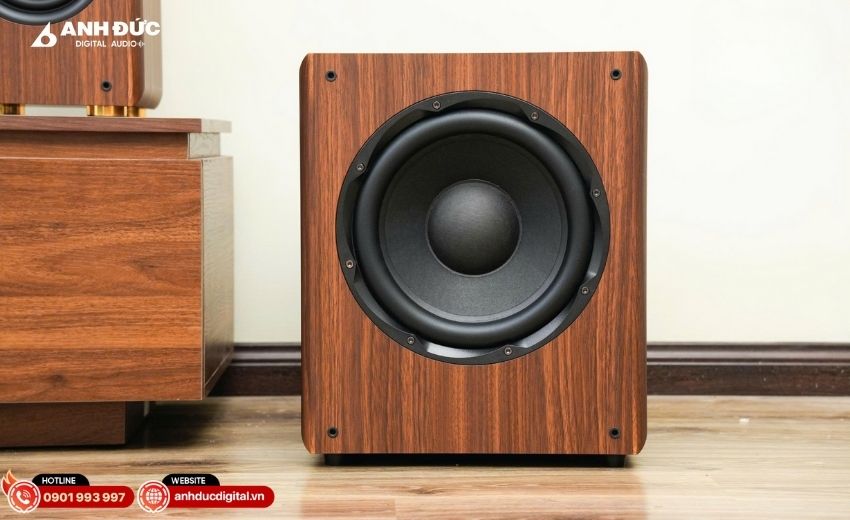Loa sub công suất vừa phải, phù hợp cho karaoke và âm thanh gia đình