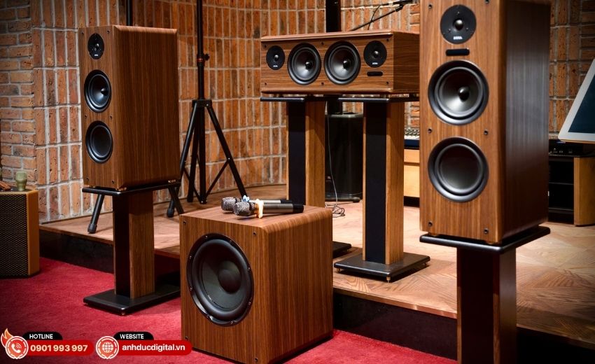 Giá loa sub cạnh tranh, chất lượng cao, phù hợp với mọi ngân sách