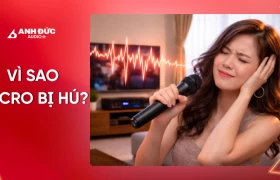 Tại sao micro bị hú? Nguyên nhân và cách chỉnh hết hú 100%