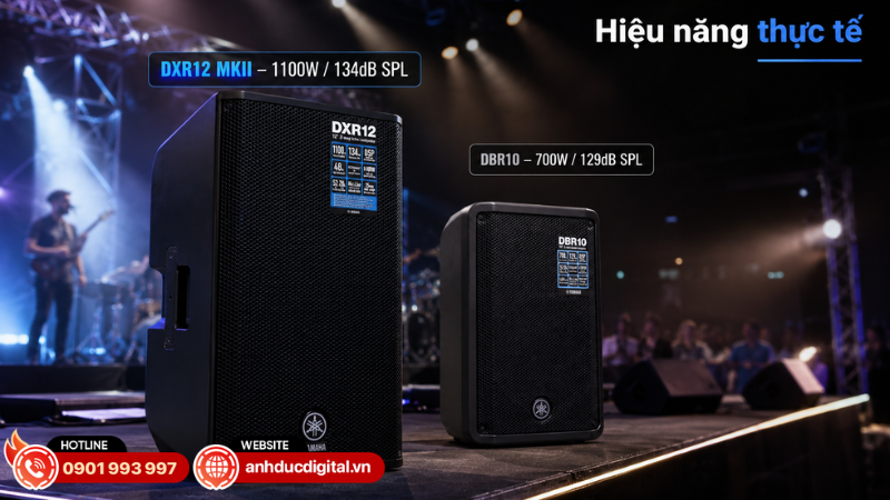 Hiệu năng thực tế: DXR12 MKII có đáng để chọn hơn?