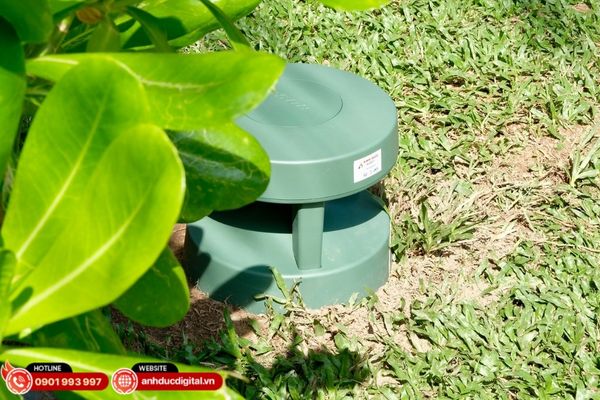 Loa Bose mang đến âm thanh sạch, dễ chịu, lý tưởng cho không gian quán café, nhà hàng và lounge