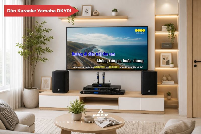 dky01